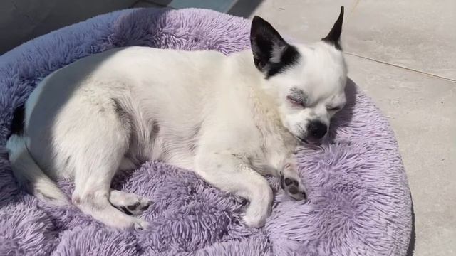 Милая музыка (две минуты) смотреть онлайн