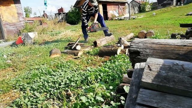 КАРТОШКА, УРОЖАЙ 2019 ГОДА. Сорт РУССКАЯ. Сорт СИНЕГЛАЗКА, БЕЛАЯ. НОЧНОЙ ЗАЯЦ. смотреть онлайн