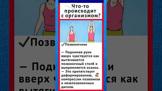 #советы #здоровье #зож смотреть онлайн