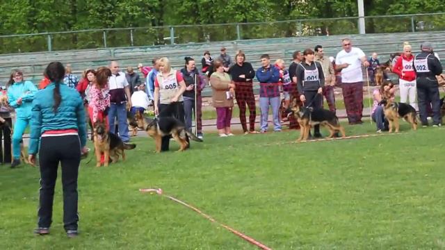 беби кобели ЯХРОМА 17-18 мая 2014 года смотреть онлайн