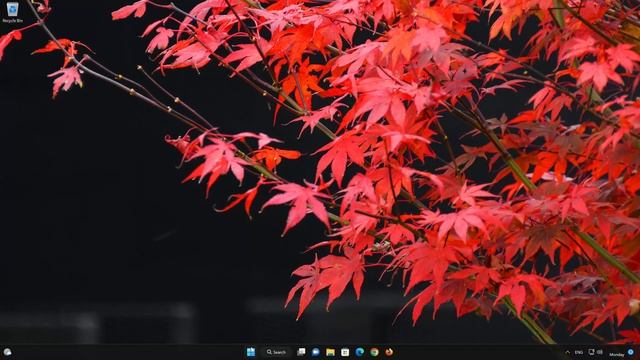 Microsoft 365 Office Not Working in Windows 11 [Tutorial] смотреть онлайн