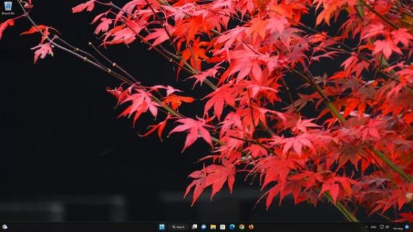 Microsoft 365 Office  Not Working in Windows 11 [Tutorial]
