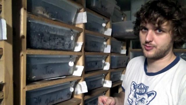 We're Back And It's Breeding Season | Ball Python Breeding: Locks are the Key! смотреть онлайн
