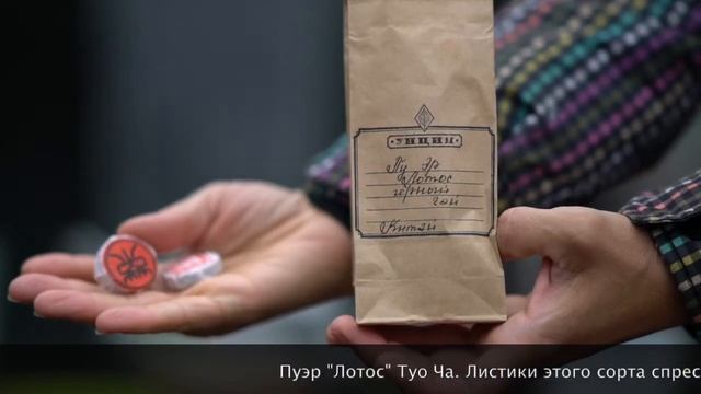 ЛЕТНИЙ ЦИГУН (12-й ДЕНЬ). ВРЕМЯ ЧАЯ. ПУЭР 