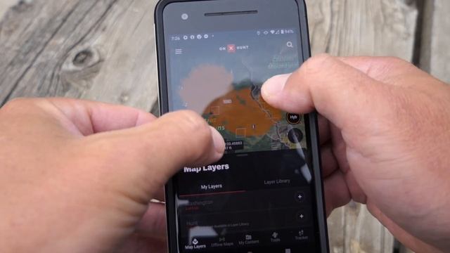 How To Find Morels After a Forest Fire смотреть онлайн