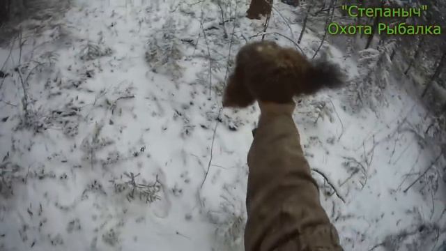 5 заезд 5 день Выезд с участка Соболь в ящике 06 11 21 смотреть онлайн
