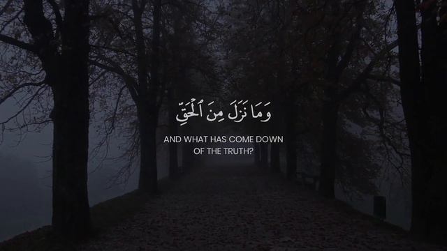 Surah Al Hadid | Ayah 16 | Mamdouh Emad смотреть онлайн