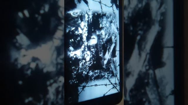 Детский лагерь Саласпилс смотреть онлайн