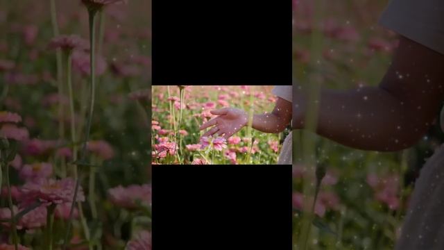 песня-мантра "Иду по пути своему" смотреть онлайн