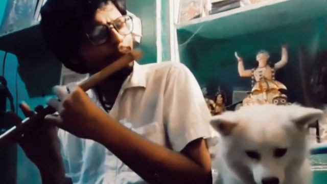 Dog love смотреть онлайн