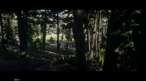 Red Dead Redemption 2- Поймать чёрного рысака.mp4