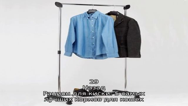 Животные смотреть онлайн