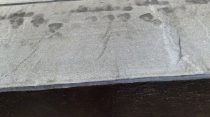 Гидроизол на крышу из ОСБ