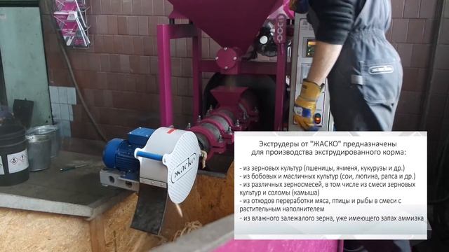 Экструдирование смеси из рыбных отходов, овощей и зернового наполнителя смотреть онлайн
