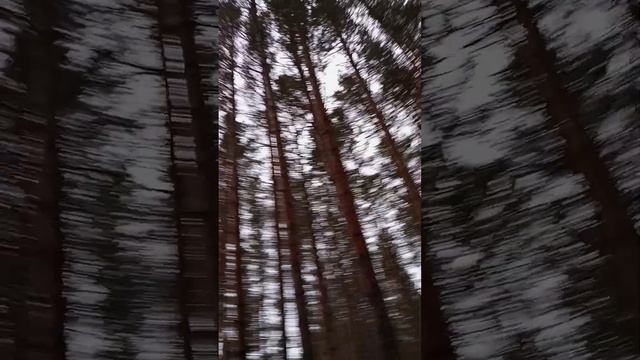 25 января 2024 г.