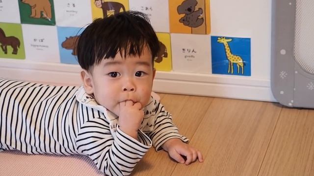 #570【Day210】is lookin' good !　生後6ヵ月210日目の赤ちゃん．ポテチ食べるママをガン見！【vlog】 смотреть онлайн