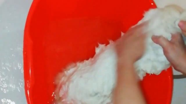 КУПАНИЕ КРОЛИКА НЗБ!!! смотреть онлайн