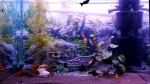 Звук аквариумного компрессора для сна