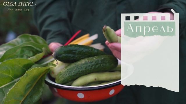 ОГУРЦЫ: лунный календарь на АПРЕЛЬ 2022! Когда сажать семена огурцов на рассаду? смотреть онлайн