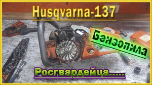 Ремонт бензопилы Хускварна 137.