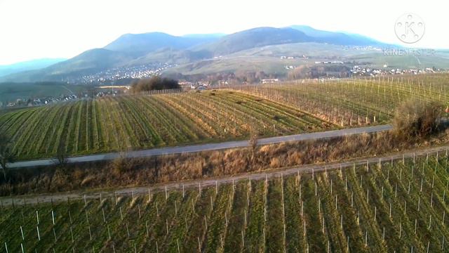 Winefields 1 1080p смотреть онлайн