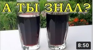 Домашнее ВИШНЕВОЕ ВИНО. Самый вкусный рецепт????