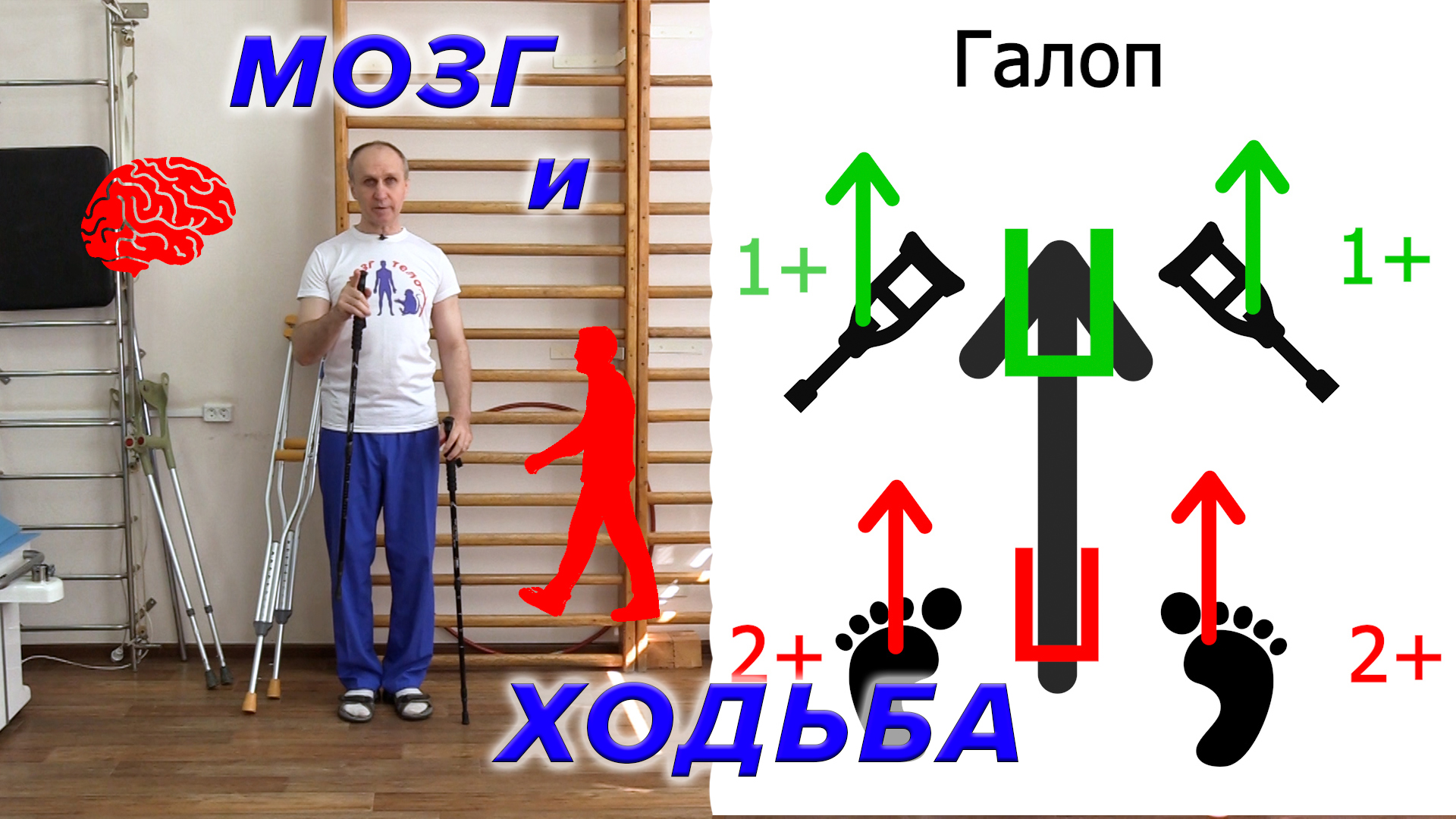 Мозг и ходьба. смотреть онлайн