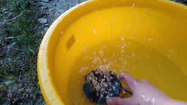 Water Test and Bass Test Perfect Focus JBL Clip 3 смотреть онлайн