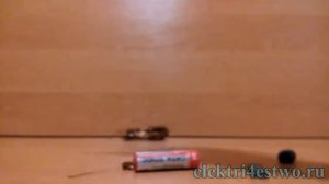 Как сделать простейший электродвигатель из батарейки, проволоки и магнита. Simple electric motor