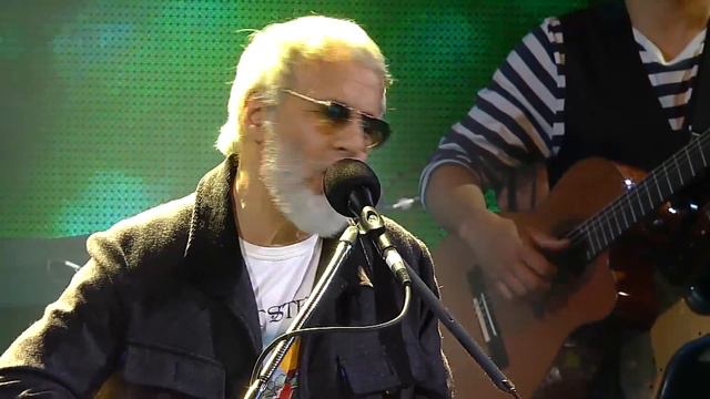 Yusuf / Cat Stevens - Oh Very Young (Viña Del Mar Festival, Chile 2015) смотреть онлайн