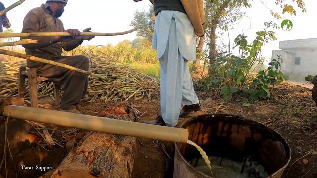 Rural Life Daily Routine Work Making Jaggery