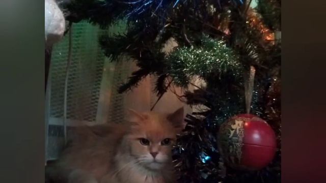 ?Новогодний ?Филя ? смотреть онлайн