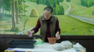 Как сеять землянику. Посев семян земляники на рассаду.