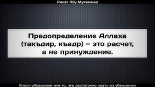 Предопределение Аллаха такъдир, къадр — это расчет, а не принуждение ¦¦ Ринат Абу Мухаммад смотреть онлайн