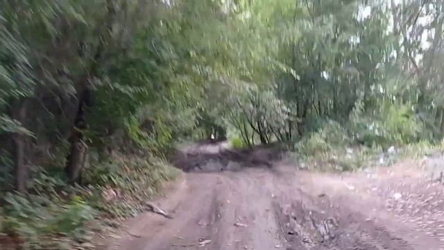 Снова покатушка с Гришей до Южного моста на Питбайке смотреть онлайн