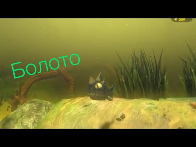 Играю в фид энд гроу фиш на болоте! КАК ВЫЖИТЬ?! Feed and grow fish смотреть онлайн