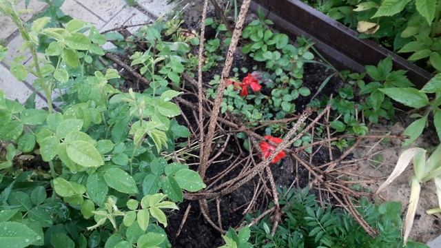 Полезные советы!!!