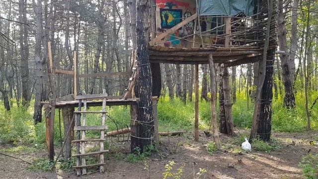 Дом на Дереве в Щепкинском Лесу #щепкинскийлес #путешествия #приключение смотреть онлайн