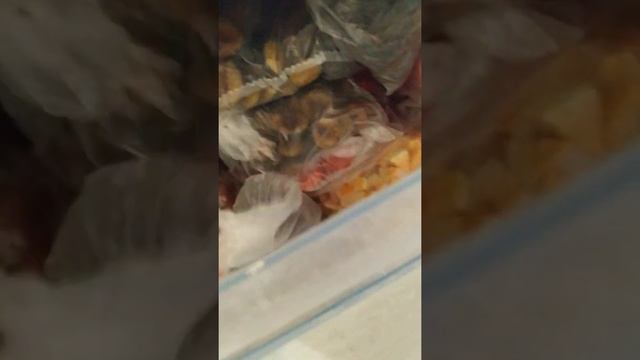 Заморозка ягод и овощей на зиму. Что ещё можно заморозить из овощей и фруктов? Жду от вас совета ? смотреть онлайн