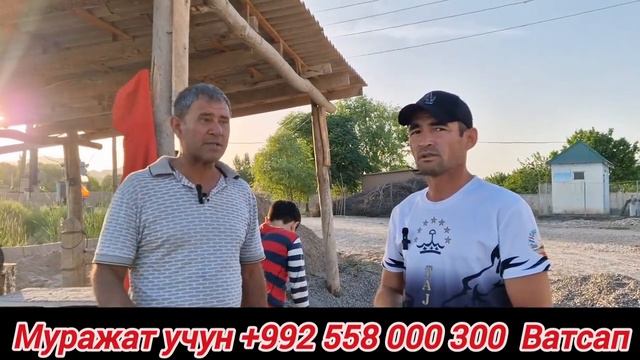 АКЦИЯ СЕМЕНТБЛОК АДРЕС НОХИЯИ ШАХРИТУС ДЕҲАИ ХОКАК смотреть онлайн