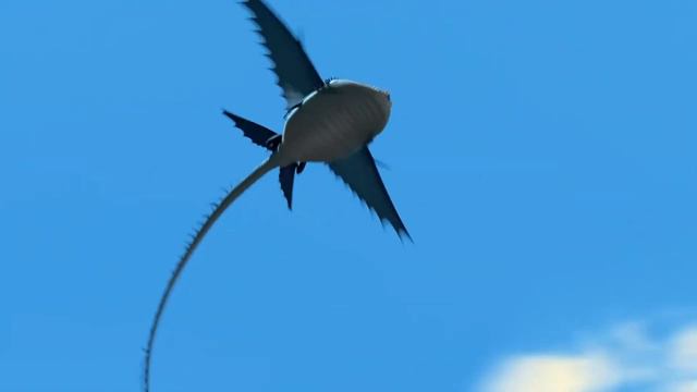 КТО ТАКОЙ ГРОМОБОЙ ИЗ ВСЕЛЕННОЙ 