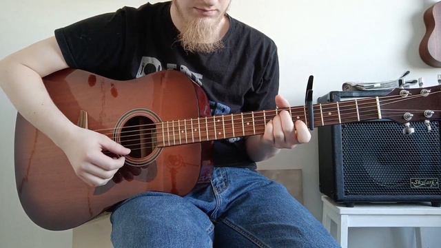 Hohner HW300G Review | Handcrafted Dreadnought