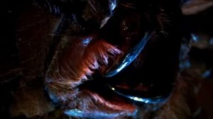 Жуткие насекомые. Самые страшные жуки и пауки в мире.