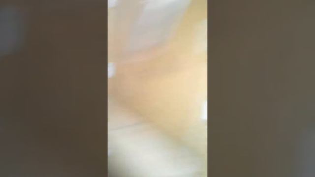 Люблю своих кроликов. смотреть онлайн