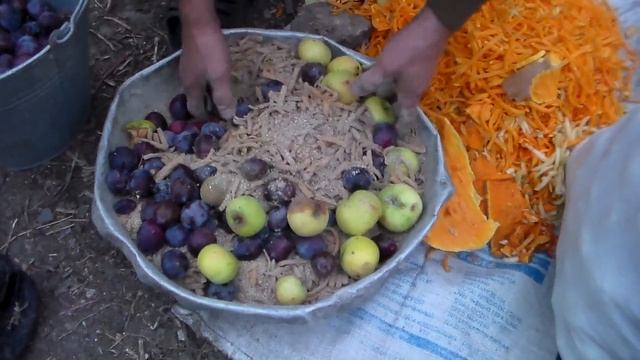 Чем кормить свиней осенью ,что бы запастись витаминами на зиму. смотреть онлайн