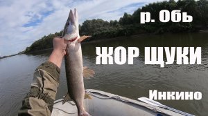 Рыбалка на реке Обь | Нереальный клев щуки и судака | Рыбалка в Томской области