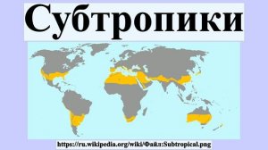 Субтропики