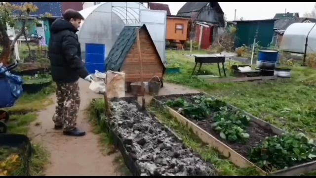 Как вносить навоз. Раскисление почвы доломитовой мукой. #папанадаче смотреть онлайн