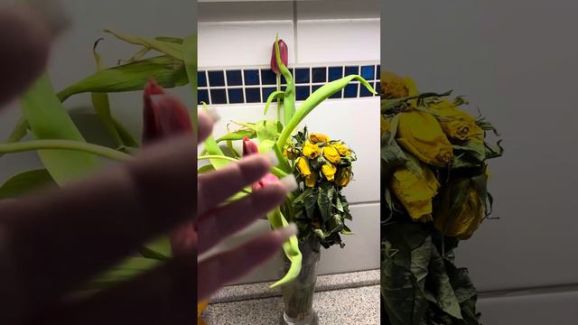 Как долго сохранить тюльпаны 🌷🌷🌷 в бутонах и стоят дольше