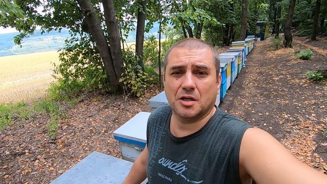 ОСНОВА ХОРОШЕЙ ЗИМОВКИ ПЧЁЛ ЭТО АВГУСТОВСКИЙ РАСПЛОД/ОСНОВНЫЕ РАБОТЫ ПЧЕЛОВОДА НА ПАСЕКЕ В АВГУСТЕ! смотреть онлайн